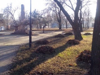 Парк: Аркасовский сквер (Аркасівський сквер) рядом с городом Николаев,  Украина: 4 отзывов, адрес, сайт — MAPS.ME